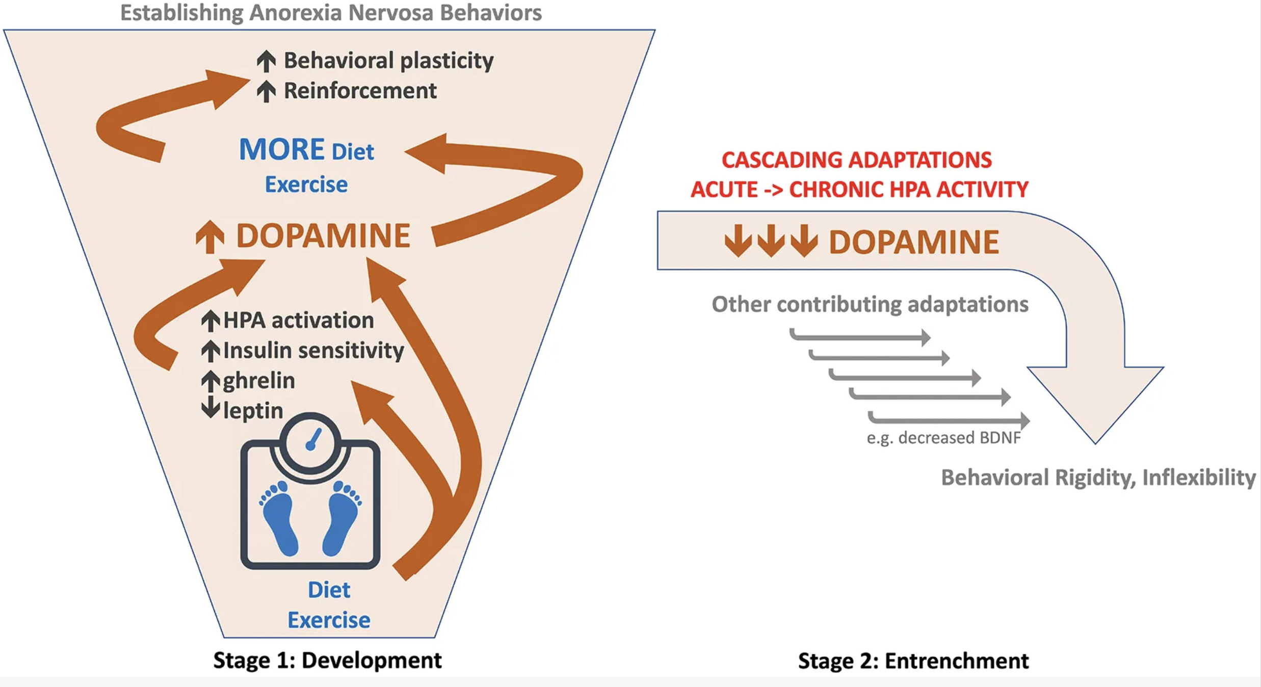 Publications | Burghardt Lab