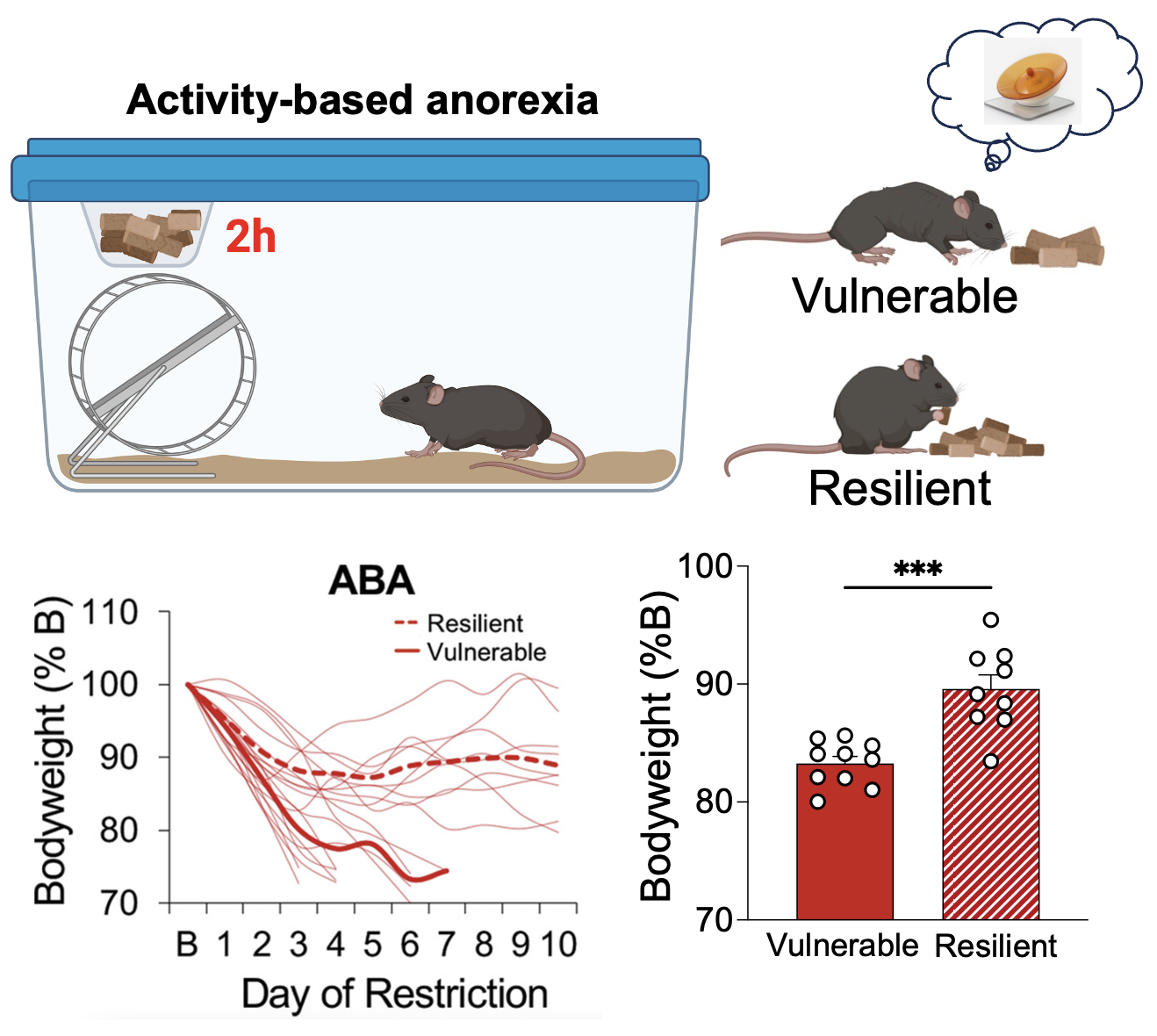 Publications | Burghardt Lab