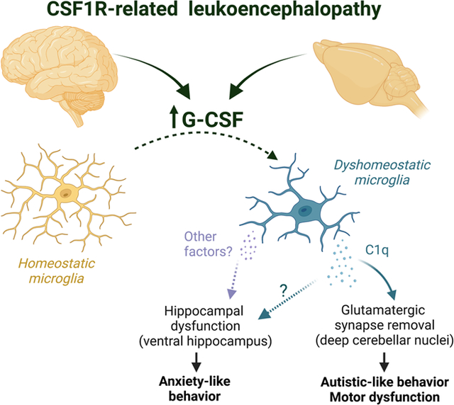 Publications | Burghardt Lab