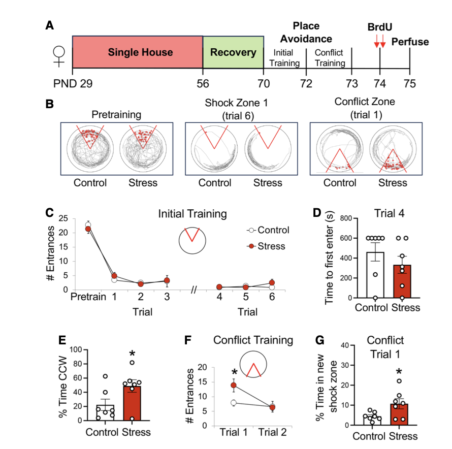 Publications | Burghardt Lab