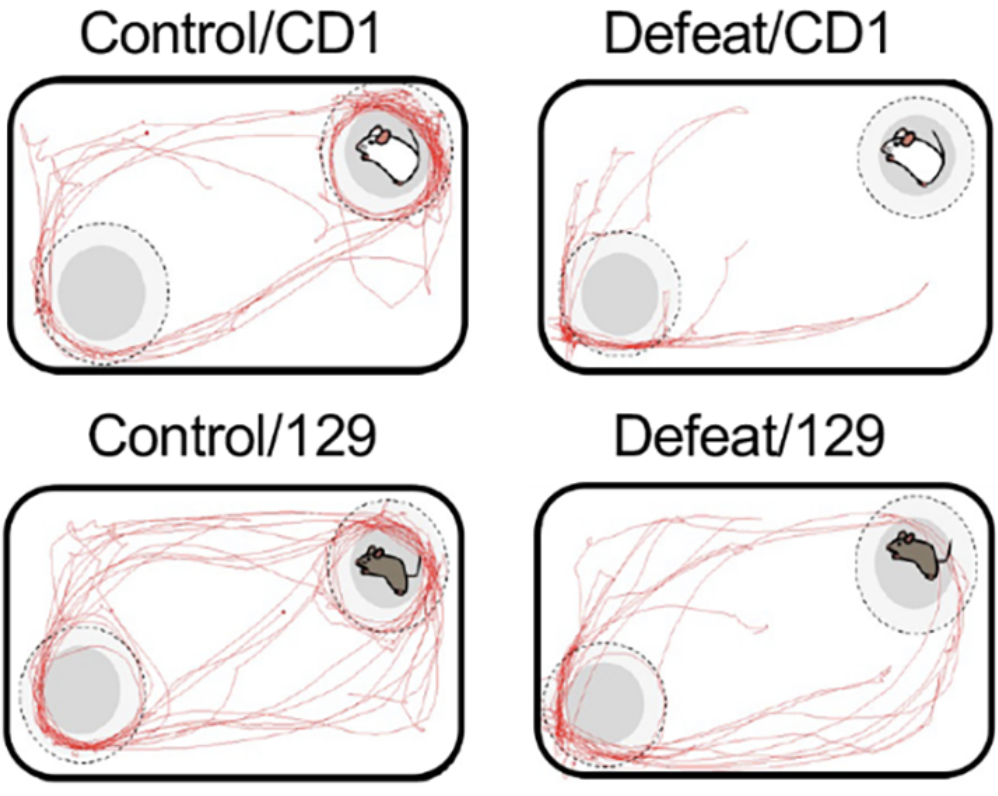 Publications | Burghardt Lab