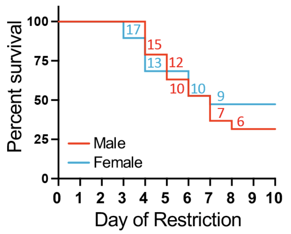 Vulnerability and Resilience to Activity-Based Anorexia is Not Sex-Dependent